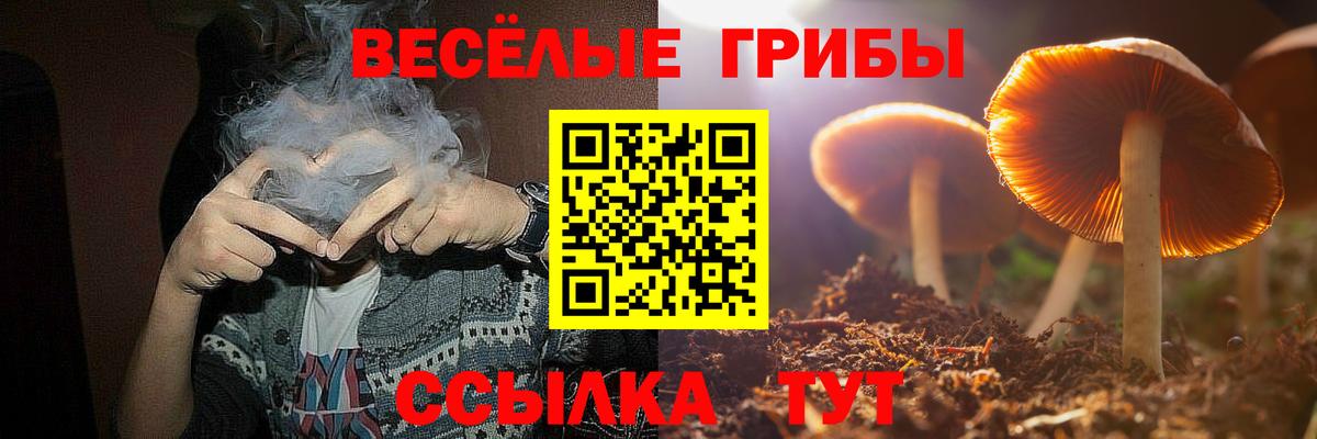 Галлюциногенные грибы мицелий Михайловка